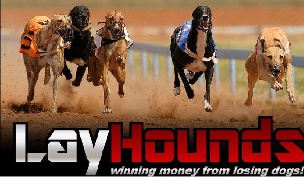 Lay Hounds Final Review