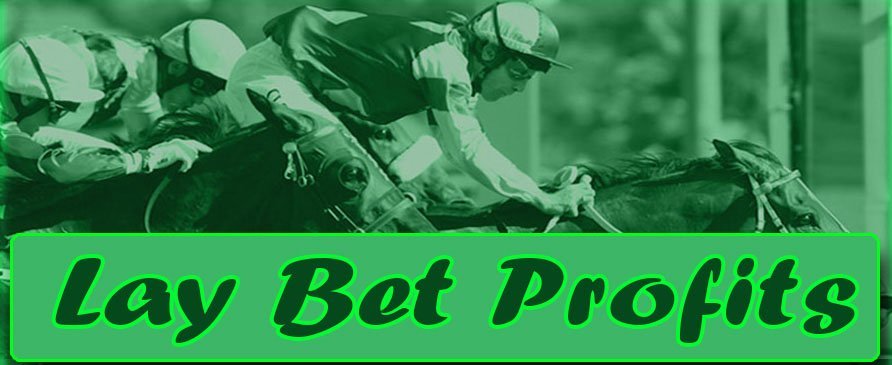 Lay Bet Profits Day 61