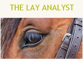 The Lay Analyst Final Review
