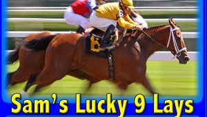 Sams Lucky 9 Lays  Final Review