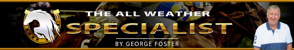 George Foster - The All Weather Specialist Review
