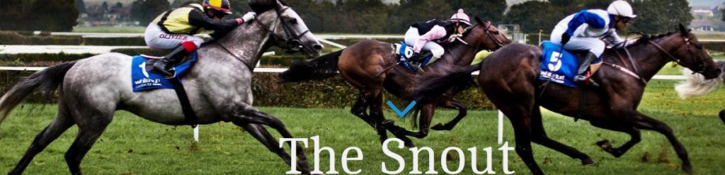 The Snout Final Review